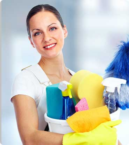 Screenshot 2023-12-08 at 12-26-35 Poket – Cleaner Responsive WordPress Theme